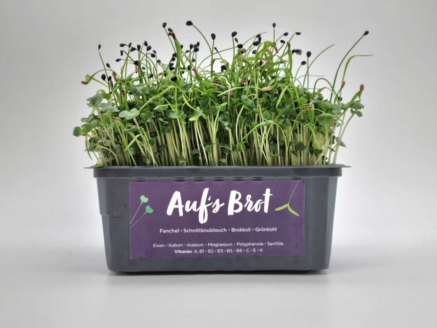 Bio Auf's Brot