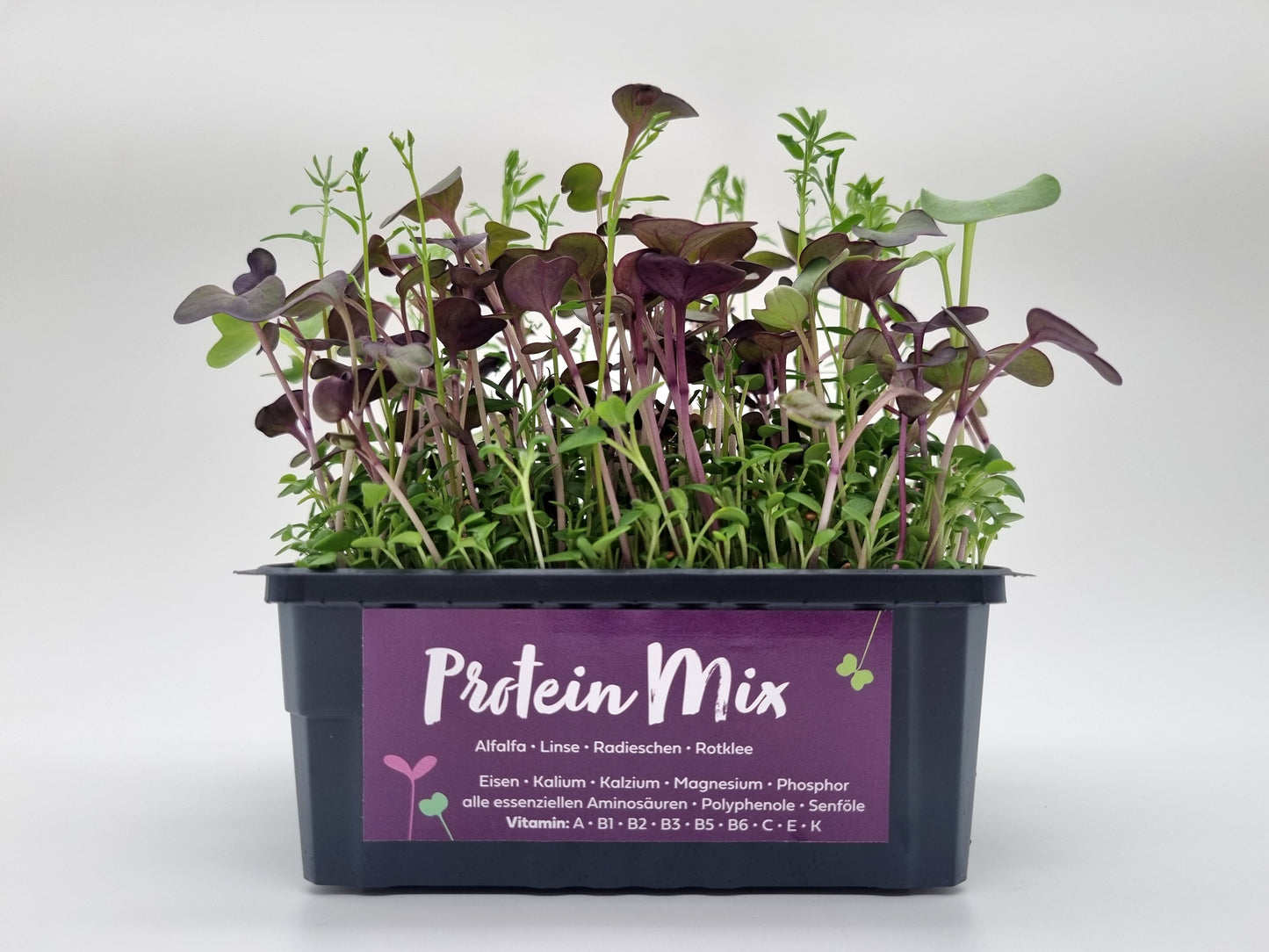 Bio Protein Mix