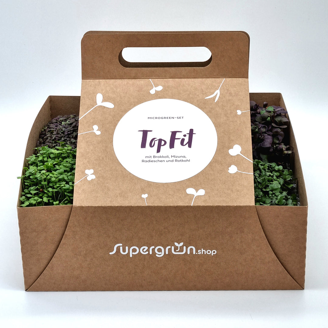 Microgreen-Set "Top Fit" in Pappträger