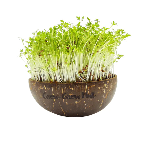 Nachfüller: Microgreen-Samen The Mikro Greens